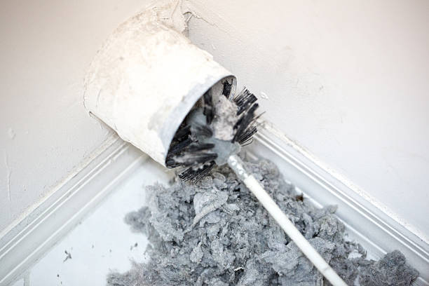 Best Air Duct Sanitizing Services  in Bayonet Point, FL